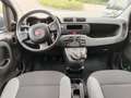 Fiat Panda Panda 1.0 firefly hybrid s&S/ottime condizioni Noir - thumbnail 8