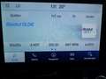 Ford Puma Puma 1.0 EcoBoost M-Hybrid TITANIUM AHK Allwetter Blau - thumbnail 21