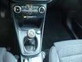 Ford Puma Puma 1.0 EcoBoost M-Hybrid TITANIUM AHK Allwetter Blau - thumbnail 14