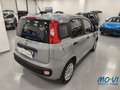 Fiat Panda Panda 1.2 EasyPower Easy Grau - thumbnail 10