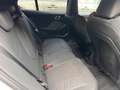 BMW 120 M-SPORTPAKET - HUD - Driving Assistant Plus Weiß - thumbnail 13