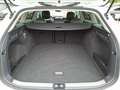 Volkswagen Passat Variant 1.5 e-TSI OPF DSG Business AHK Tr Weiß - thumbnail 13