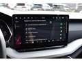 Skoda Octavia Combi 2.0 TDI Selection DSG SG CHFF ACC LANE CAM Gris - thumbnail 14