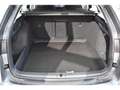 Skoda Octavia Combi 2.0 TDI Selection DSG SG CHFF ACC LANE CAM Gris - thumbnail 21