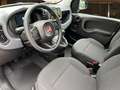 Fiat Panda 4x2 FireFly Hybrid 70 Nero - thumbnail 4