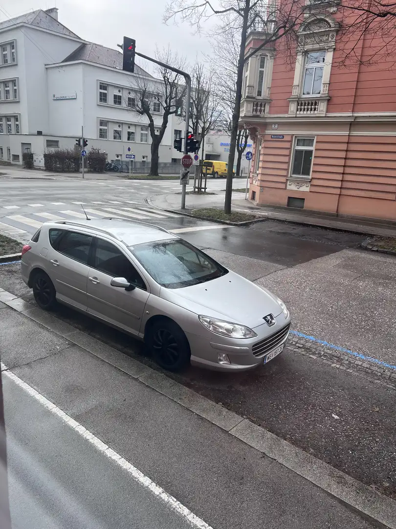 Peugeot 407 SW Classic 1,6 HDI 110 (FAP) - 1