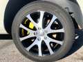 Volkswagen Touareg 3.0 V6 tdi Executive 240cv tiptronic dpf Bianco - thumbnail 10