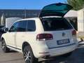 Volkswagen Touareg 3.0 V6 tdi Executive 240cv tiptronic dpf Bianco - thumbnail 6
