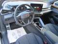 CUPRA Terramar 1.5 e-TSI 150 PS DSG Schwarz - thumbnail 5