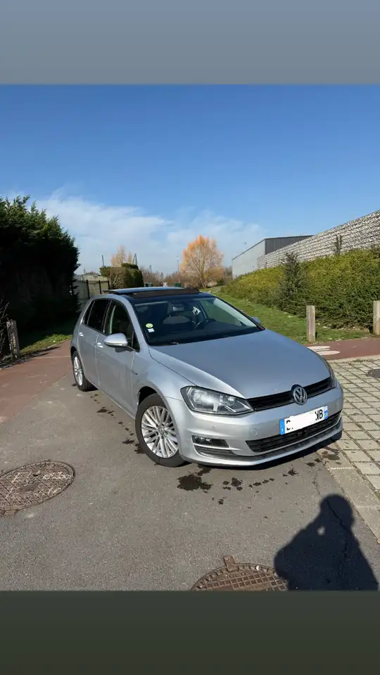 Volkswagen Golf 1.6 TDI 105 BlueMotion Technology FAP Cu