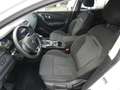 Renault Kadjar Business Edition automatik *KLIMA*ALU*PDC Blanc - thumbnail 14