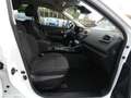 Renault Kadjar Business Edition automatik *KLIMA*ALU*PDC Blanc - thumbnail 25