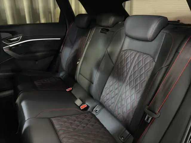 Audi SQ8 e-tron quattro Ansicht 14