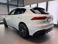 Maserati Grecale Grecale 3.0 V6 Trofeo 530cv auto Weiß - thumbnail 14