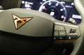 CUPRA Formentor 2,0 TDI 4Drive Cupra DSG Grijs - thumbnail 14