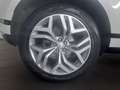 Land Rover Range Rover Evoque 2.0d i4 mhev R-Dynamic First Ed. AWD 180cv auto Bianco - thumbnail 5