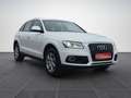Audi Q5 2.0 TDI quat. Top-Ausst. GARANTIE Weiß - thumbnail 3