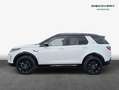 Land Rover Discovery Sport D200 Dynamic SE Weiß - thumbnail 6