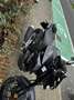 Yamaha MT-125 - thumbnail 4