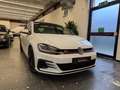 Volkswagen Golf GTI 2.0 DSG 245CV PERFORMANCE - TETTUCCIO Blanc - thumbnail 3