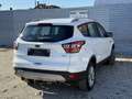 Ford Kuga 1,5 EcoBoost Titanium Weiß - thumbnail 14