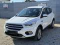 Ford Kuga 1,5 EcoBoost Titanium Weiß - thumbnail 4