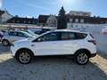 Ford Kuga 1,5 EcoBoost Titanium Weiß - thumbnail 5