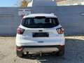 Ford Kuga 1,5 EcoBoost Titanium Weiß - thumbnail 13