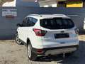 Ford Kuga 1,5 EcoBoost Titanium Weiß - thumbnail 12