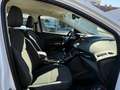 Ford Kuga 1,5 EcoBoost Titanium Weiß - thumbnail 20