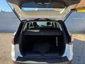 Ford Kuga 1,5 EcoBoost Titanium Weiß - thumbnail 15