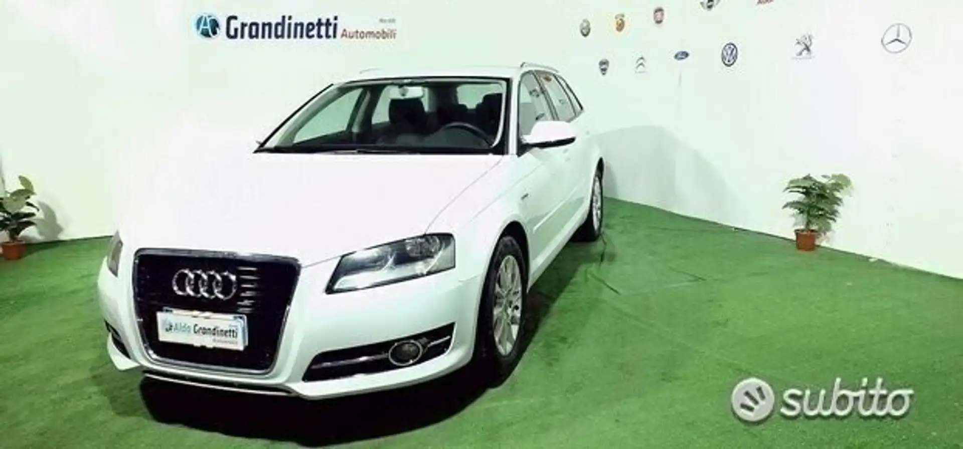 Audi A3 A3 1.6 TDI Young Wit - 1