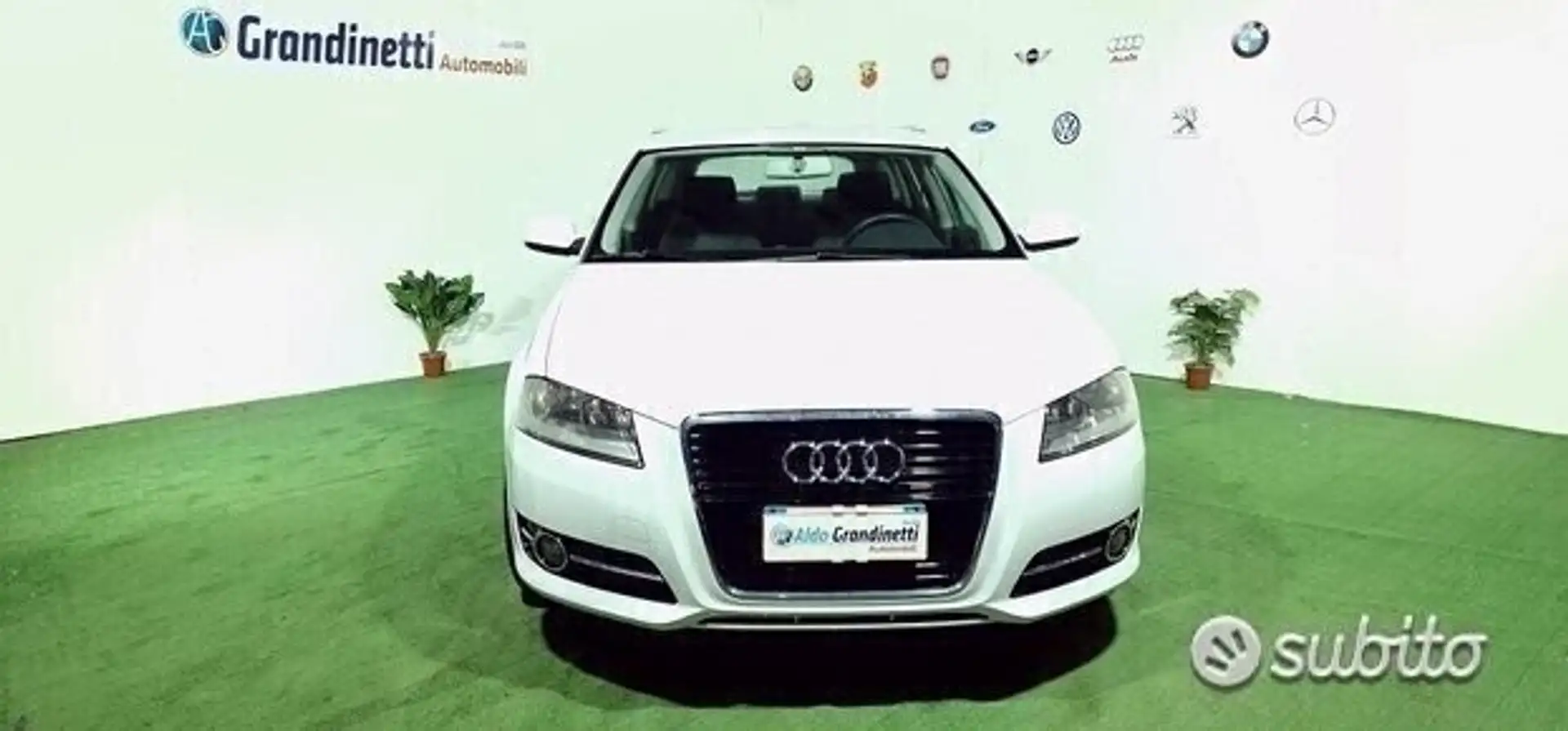 Audi A3 A3 1.6 TDI Young Wit - 2