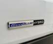 Ford Transit 310 L2H2 Trend 2.0TDCi MHEV 130 Cv Blanc - thumbnail 10