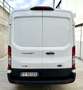 Ford Transit 310 L2H2 Trend 2.0TDCi MHEV 130 Cv Blanc - thumbnail 5