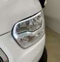 Ford Transit 310 L2H2 Trend 2.0TDCi MHEV 130 Cv Blanc - thumbnail 13