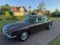 Jaguar XJ 4.2 L II AUT 1979 Bruin Brun - thumbnail 3