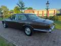 Jaguar XJ 4.2 L II AUT 1979 Bruin Brun - thumbnail 8