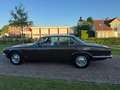 Jaguar XJ 4.2 L II AUT 1979 Bruin Brun - thumbnail 9