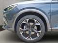 CUPRA Formentor 1.5 TSI Navigation Keyless Entry Winte Gris - thumbnail 20