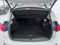 BMW X1 Xdrive18d 4X4 - BLACK FRIDAY Bianco - thumbnail 14