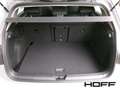 Volkswagen Golf VIII 1.5 eTSI Life DSG Navi ACC Kamera LED SHZ All Grau - thumbnail 14