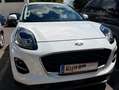 Ford Puma Puma 1,0 EcoBoost Cool Weiß - thumbnail 1