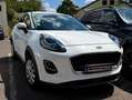 Ford Puma Puma 1,0 EcoBoost Cool Weiß - thumbnail 13