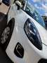 Ford Puma Puma 1,0 EcoBoost Cool Weiß - thumbnail 16