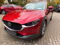 Mazda CX-30 150 AT Selection DES-/Pre-/Leder Rojo - thumbnail 15