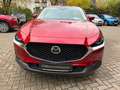 Mazda CX-30 150 AT Selection DES-/Pre-/Leder Rojo - thumbnail 16