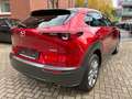 Mazda CX-30 150 AT Selection DES-/Pre-/Leder Rojo - thumbnail 8