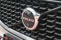Volvo XC60 B5 Benzin AWD Plus Dark*FSHZG*360°*ACC*AHK Grau - thumbnail 10