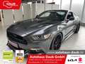 Ford Mustang 5.0 V8 GT Fastback+AschTuning+Leder+voll Szürke - thumbnail 1